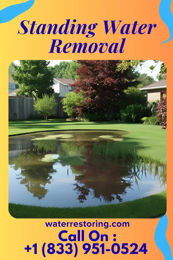 Standing Water Removal in Roodhouse, IL